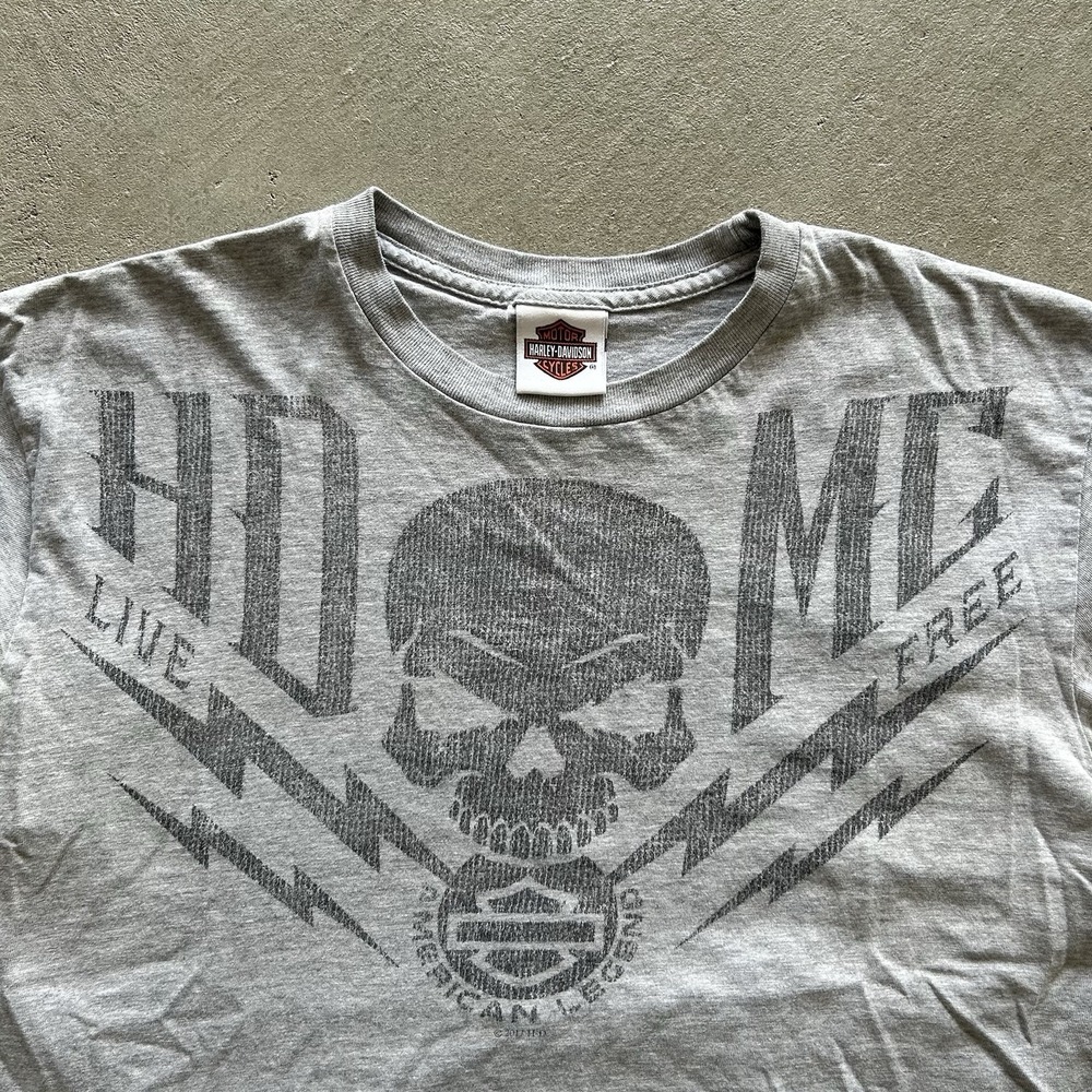 Vintage Harley Davidson Skull Shirt Size Medium Gray Fremont Michigan Biker - Picture 4 of 6